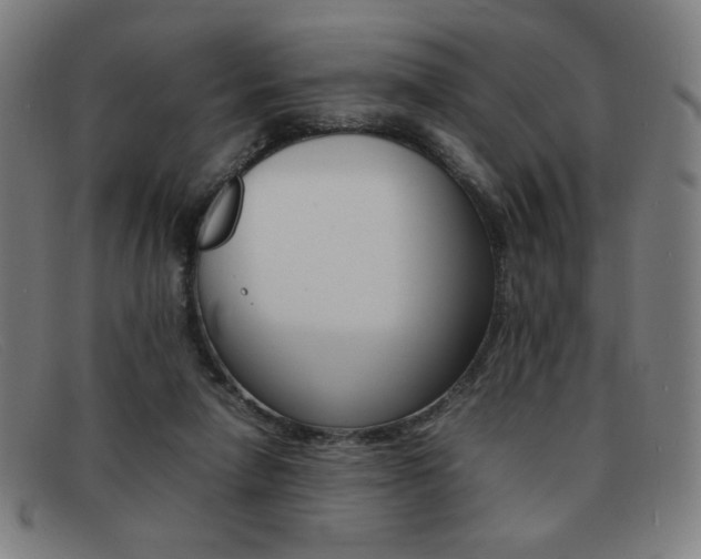 X0000092100258200709121115