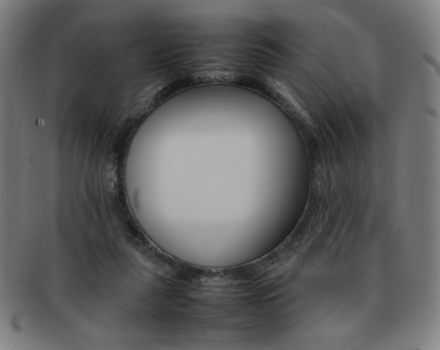 X0000092100259200709121115