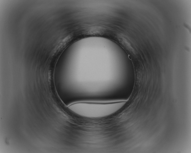 X0000092100260200709121115