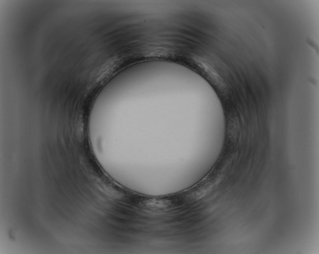 X0000092100261200709121115