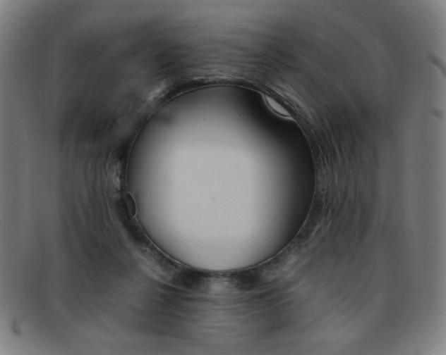 X0000092100264200709121115