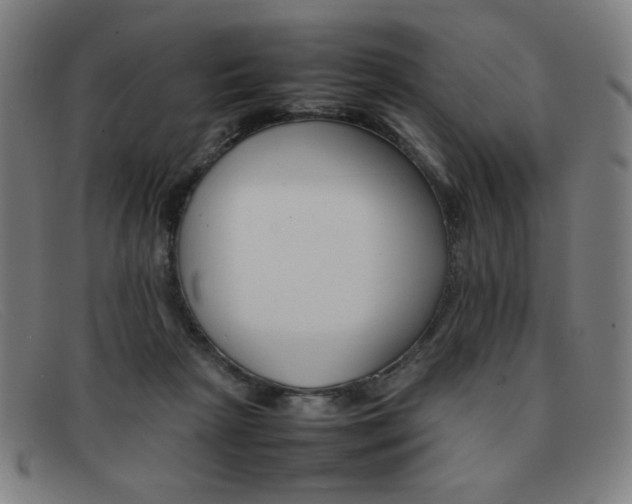 X0000092100265200709121115