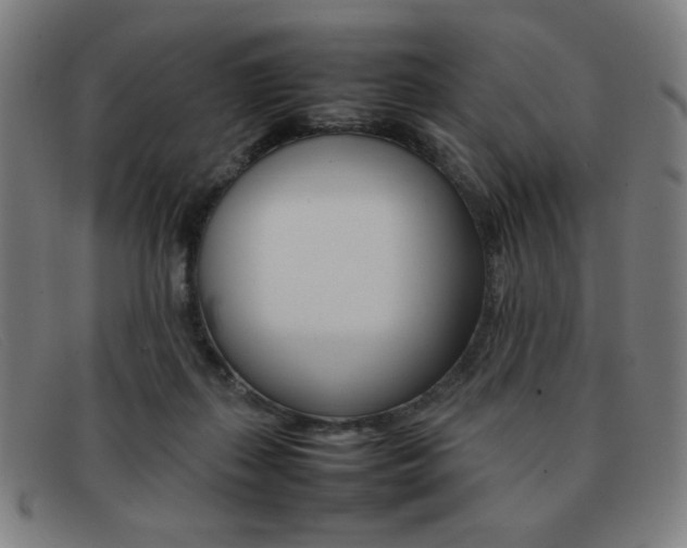 X0000092100267200709121115