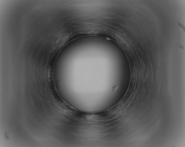 X0000092100268200709121115