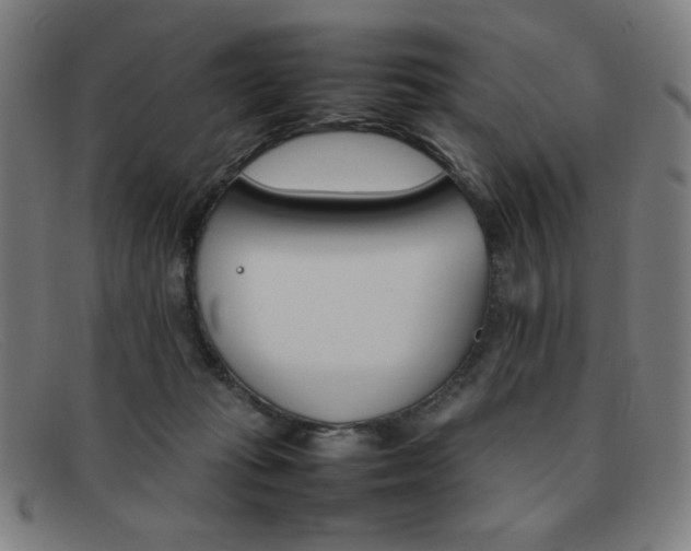 X0000092100269200709121115