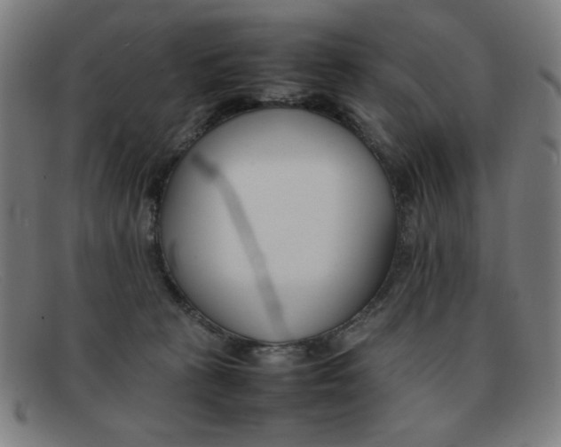 X0000092100273200709121116