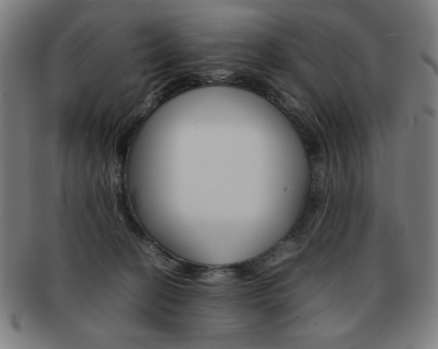 X0000092100274200709121116