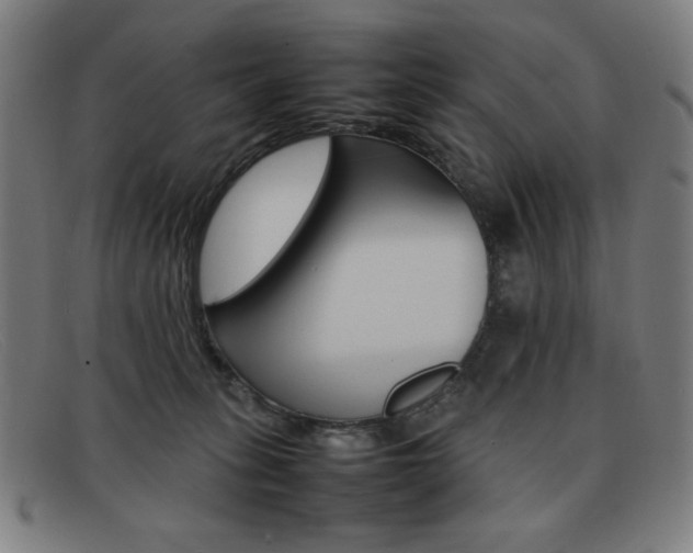X0000092100275200709121116