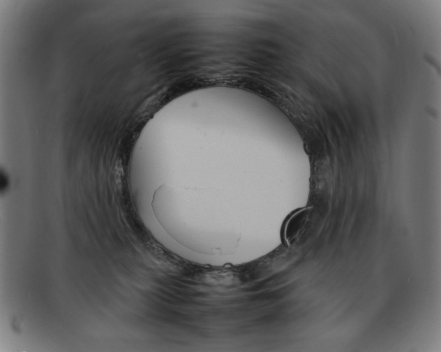 X0000092100279200709121116