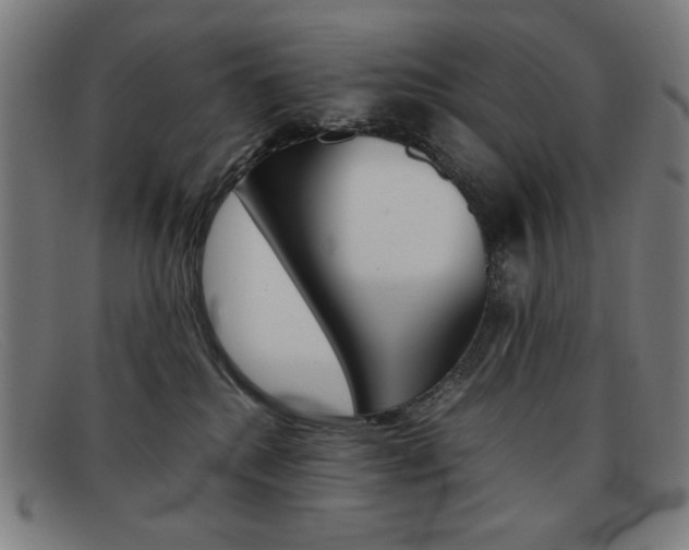 X0000092100280200709121116
