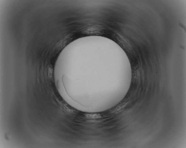 X0000092100281200709121116