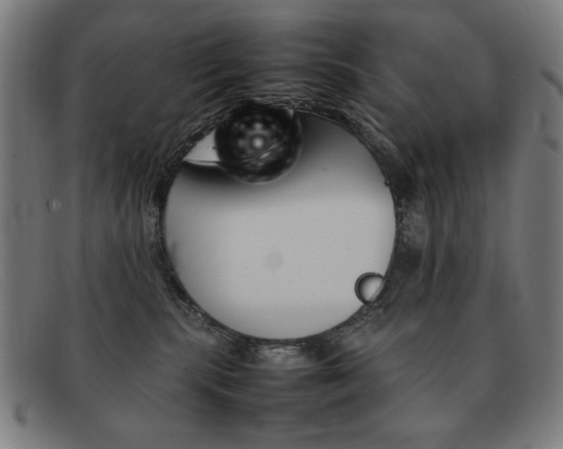X0000092100283200709121116