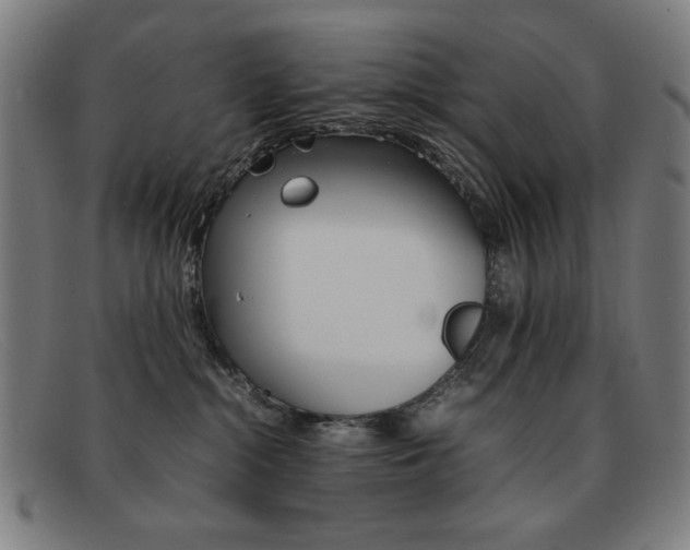 X0000092100284200709121116