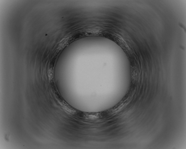 X0000092100285200709121116
