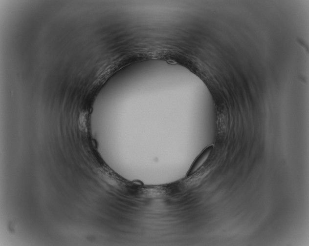 X0000092100286200709121116