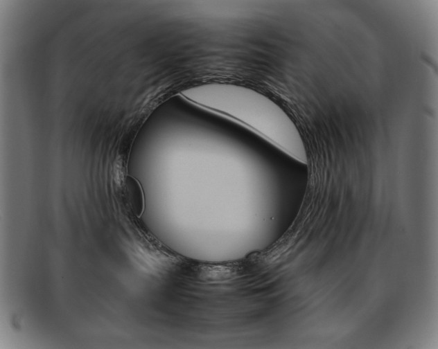X0000092100287200709121116