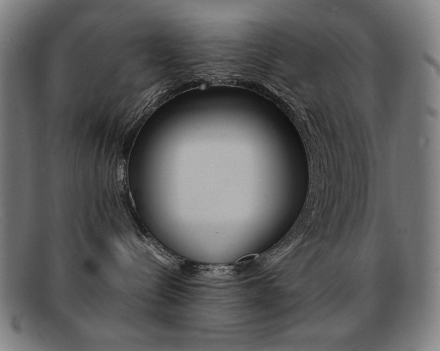 X0000092100288200709121116
