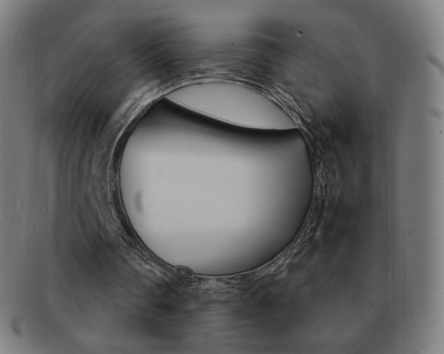 X0000092100290200709121115