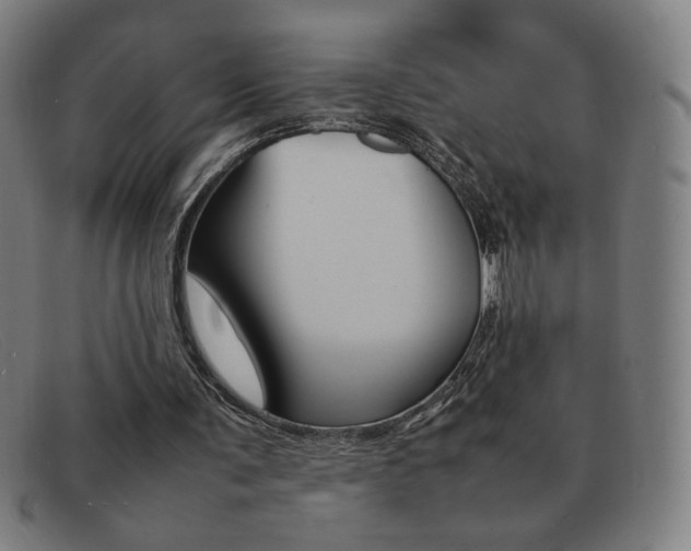 X0000092100291200709121115