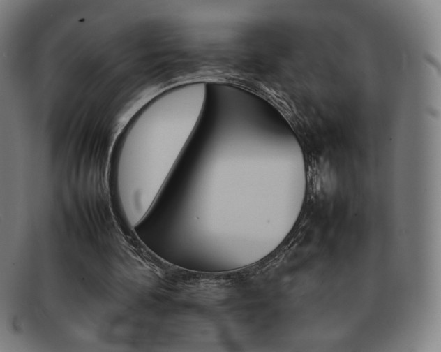 X0000092100292200709121115