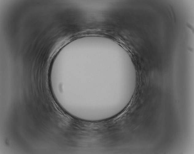 X0000092100293200709121115