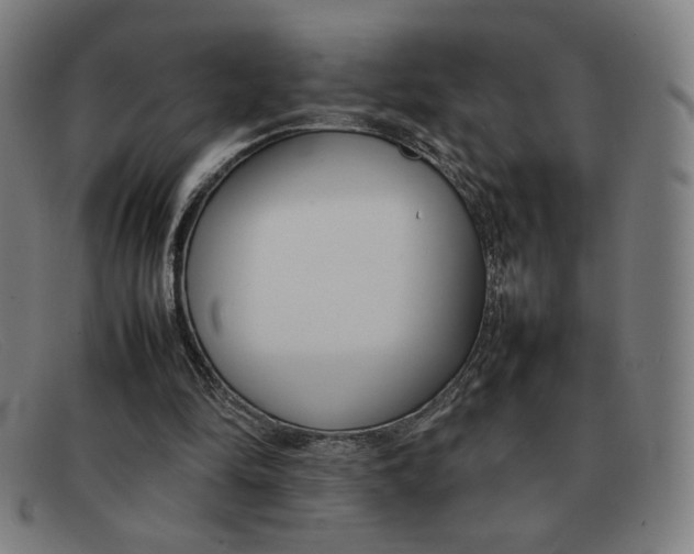 X0000092100294200709121115