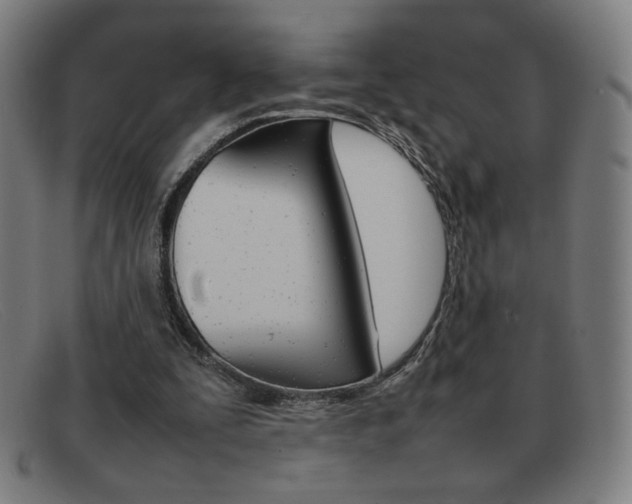 X0000092100295200709121115