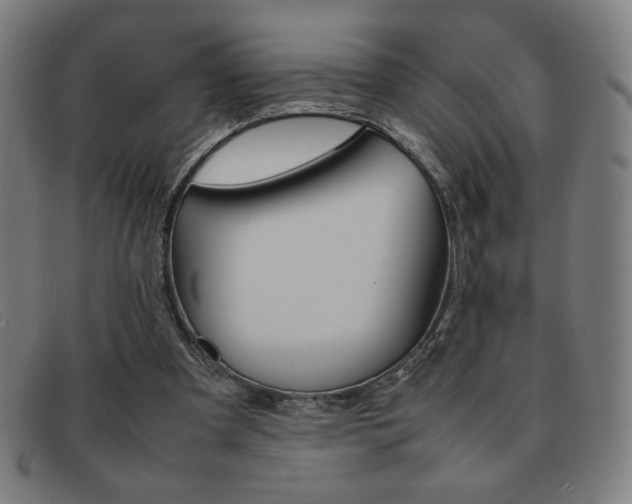 X0000092100297200709121115