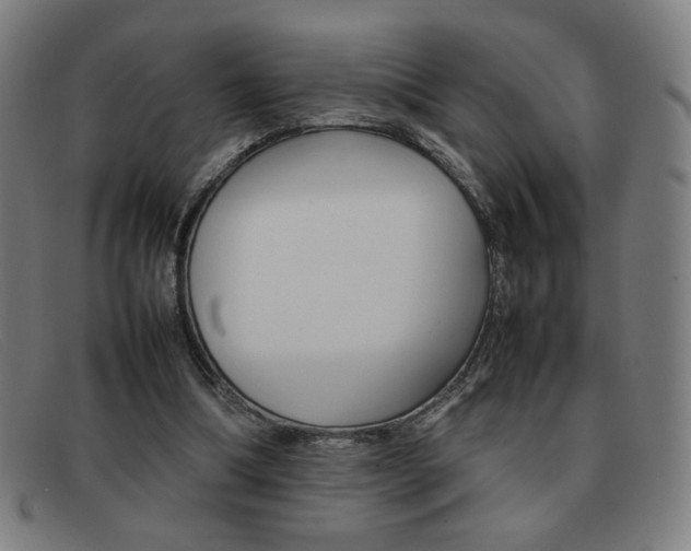 X0000092100298200709121115
