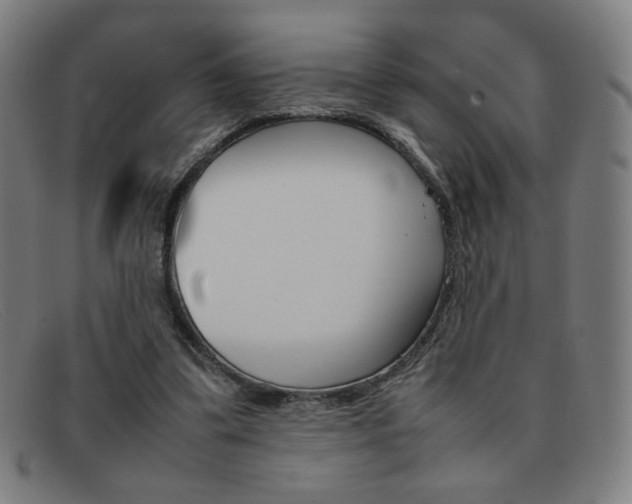 X0000092100299200709121115