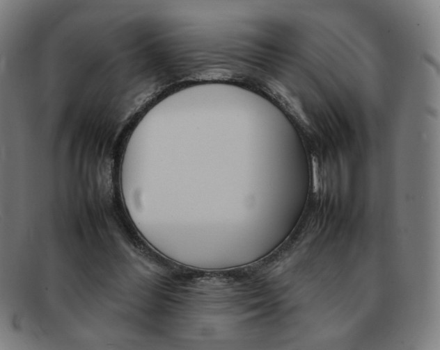 X0000092100300200709121115