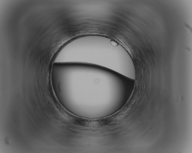 X0000092100301200709121115