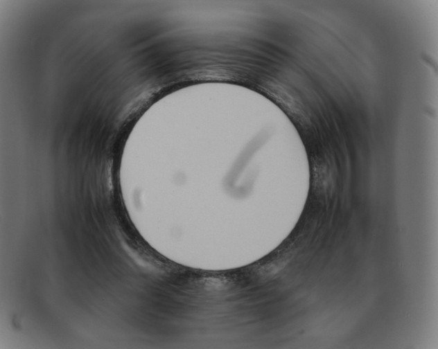 X0000092100302200709121115