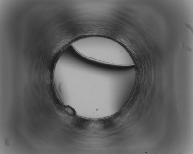 X0000092100303200709121115
