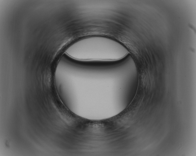 X0000092100304200709121115