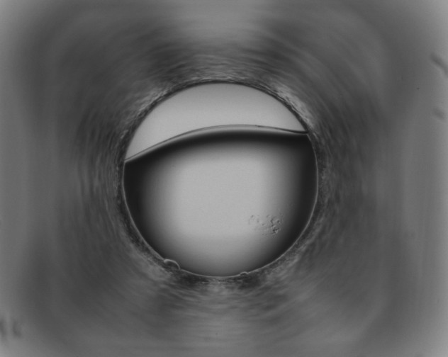 X0000092100305200709121115