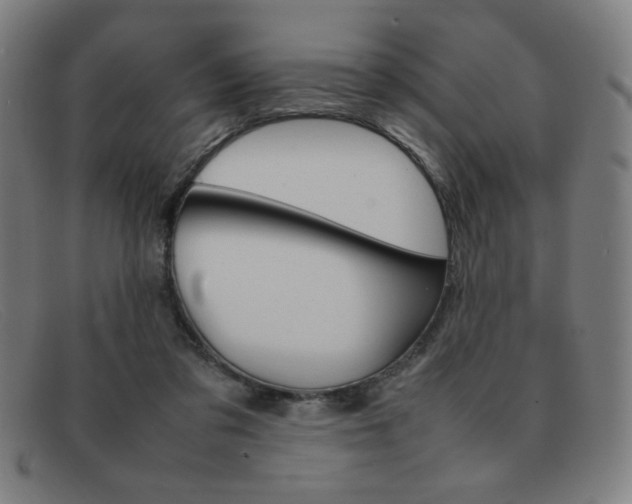 X0000092100309200709121115