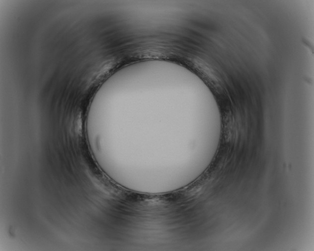 X0000092100310200709121115