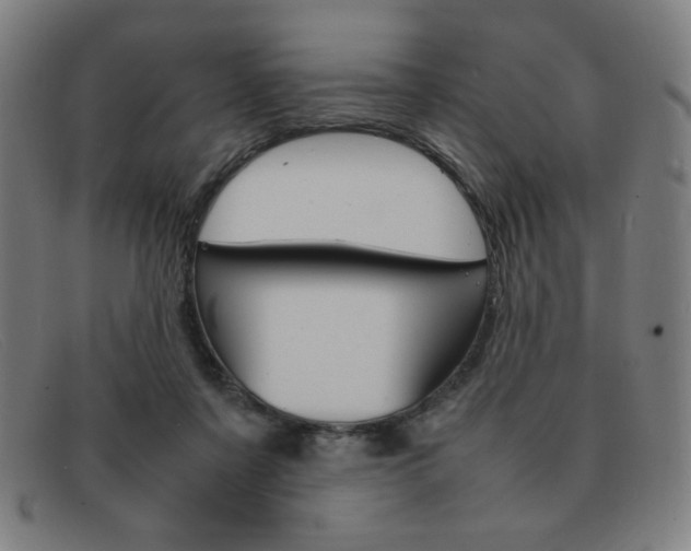 X0000092100311200709121115