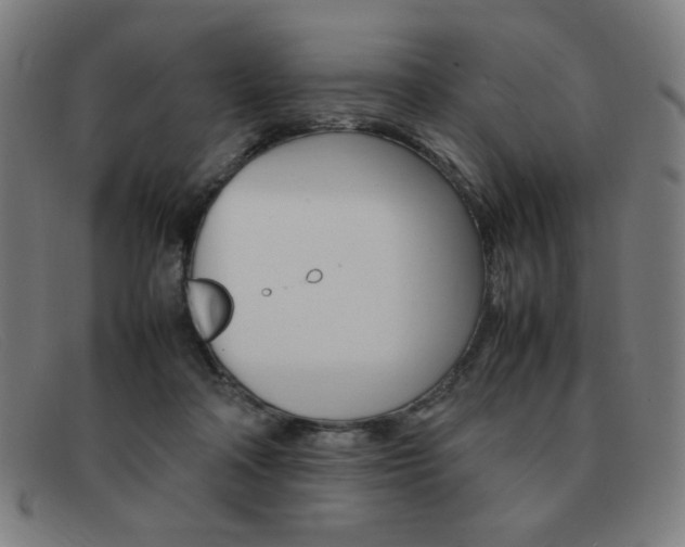 X0000092100314200709121115