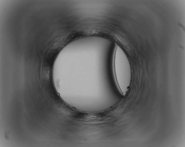 X0000092100315200709121115