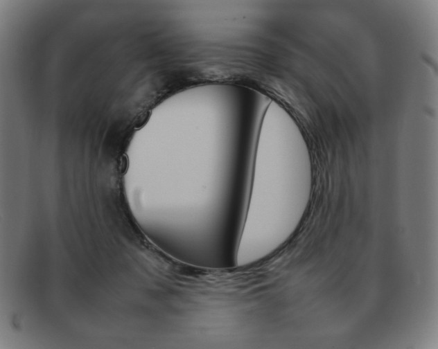 X0000092100317200709121115