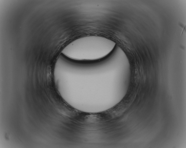 X0000092100320200709121115