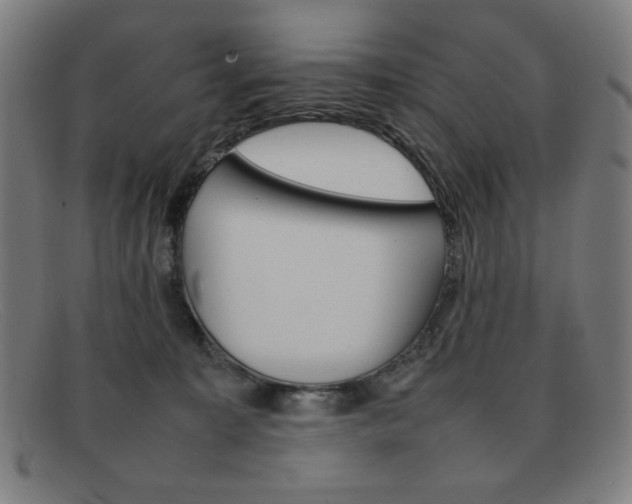 X0000092100323200709121115