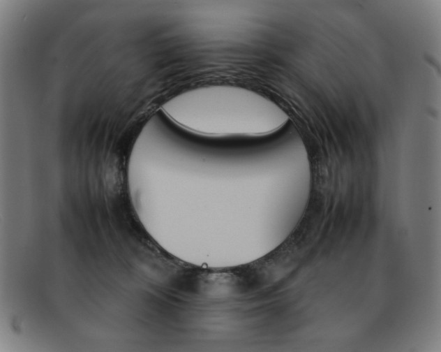 X0000092100324200709121115