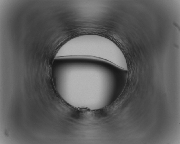 X0000092100325200709121115