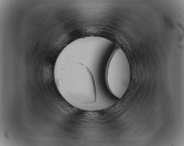 X0000092100328200709121114