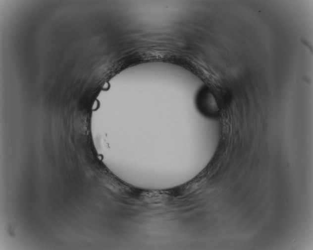 X0000092100331200709121114