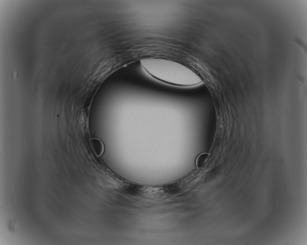 X0000092100333200709121114