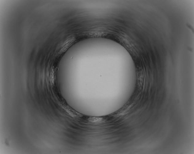 X0000092100334200709121114
